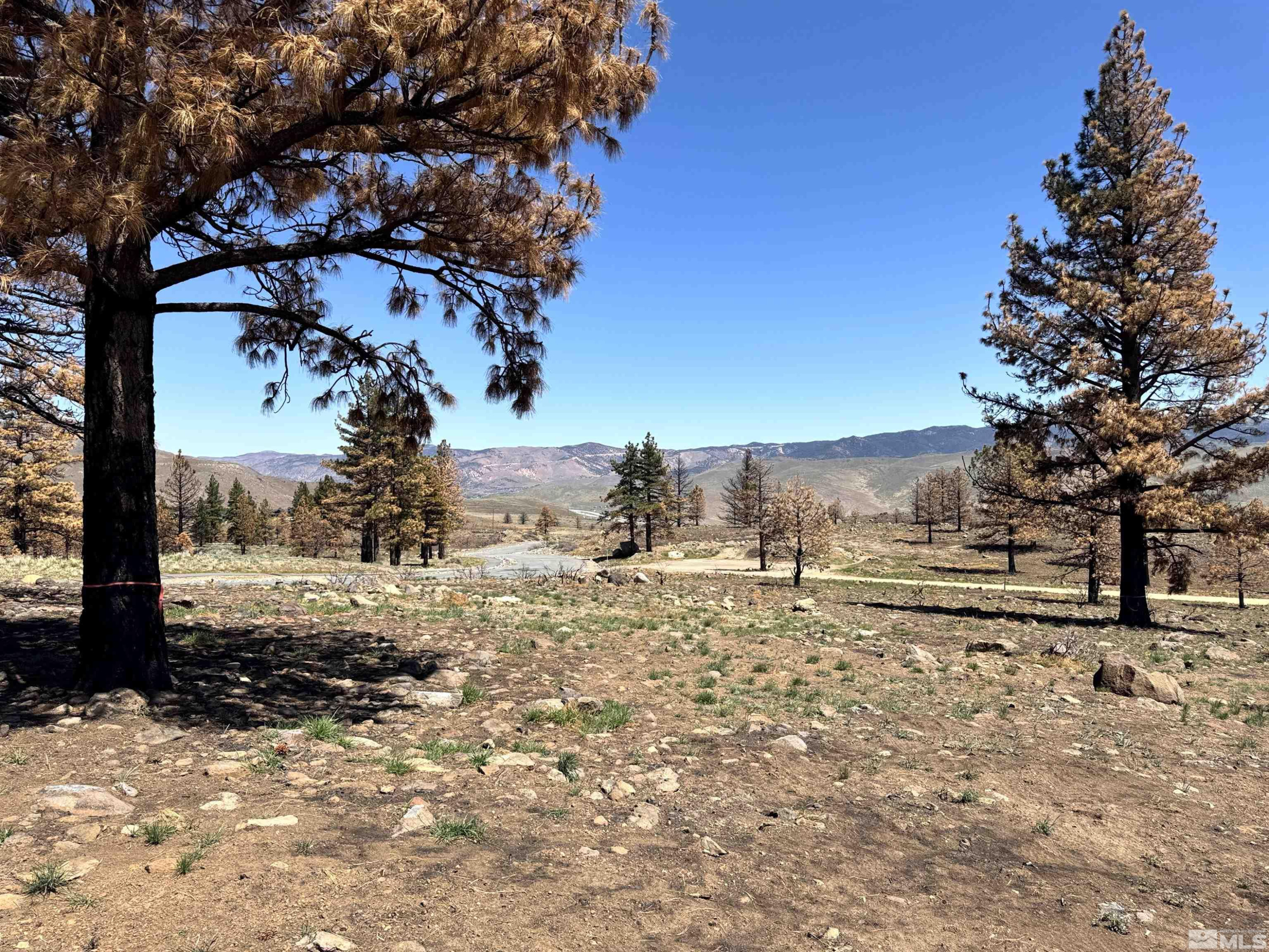 600 Sand Cherry Court Reno, NV 89511 - Photo 17 of 21 a view of a yard with wooden fence