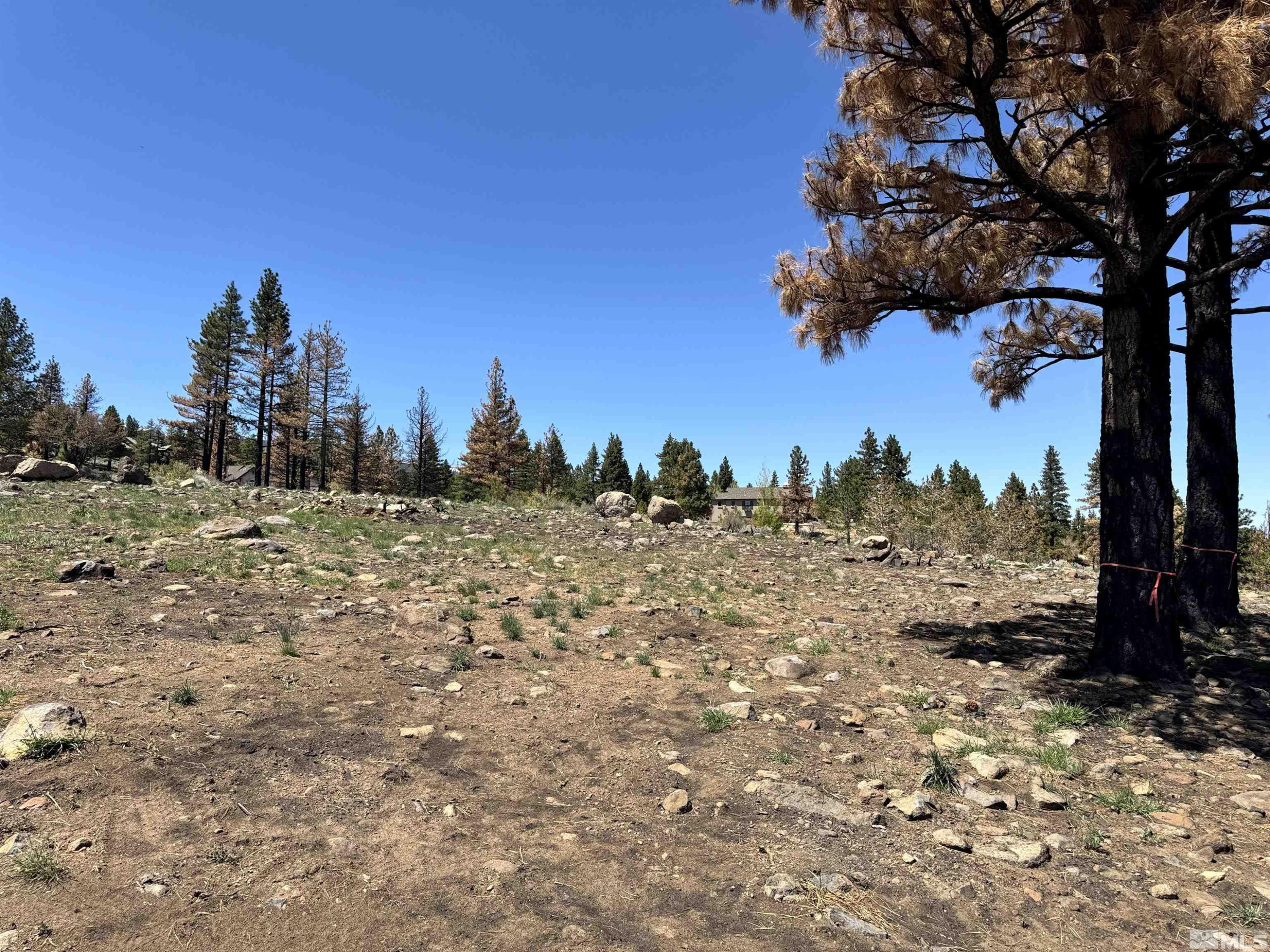 600 Sand Cherry Court Reno, NV 89511 - Photo 18 of 21 a view of a covered with trees in the background