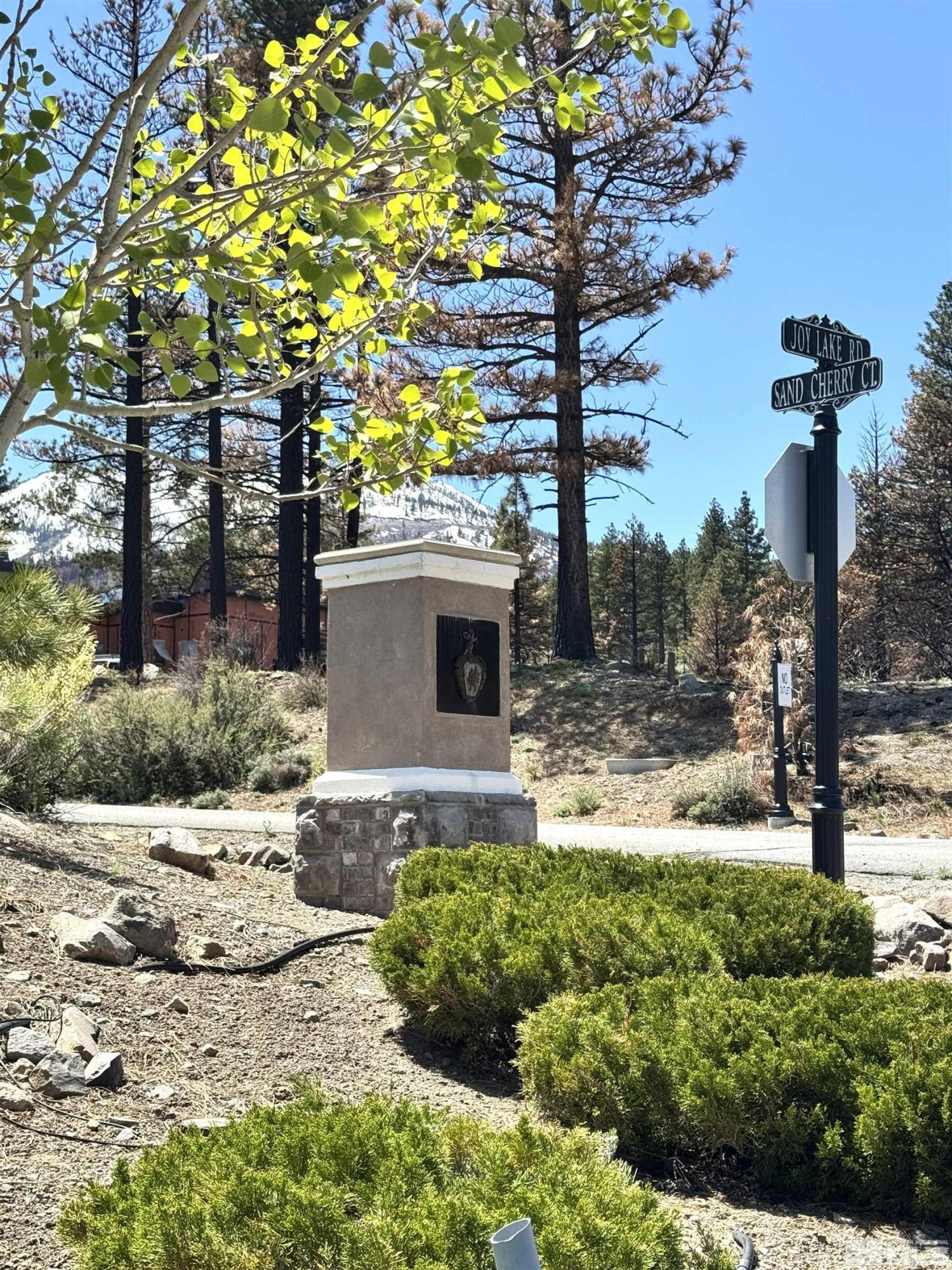 600 Sand Cherry Court Reno, NV 89511 - Photo 10 of 21 a front view of a house with garden