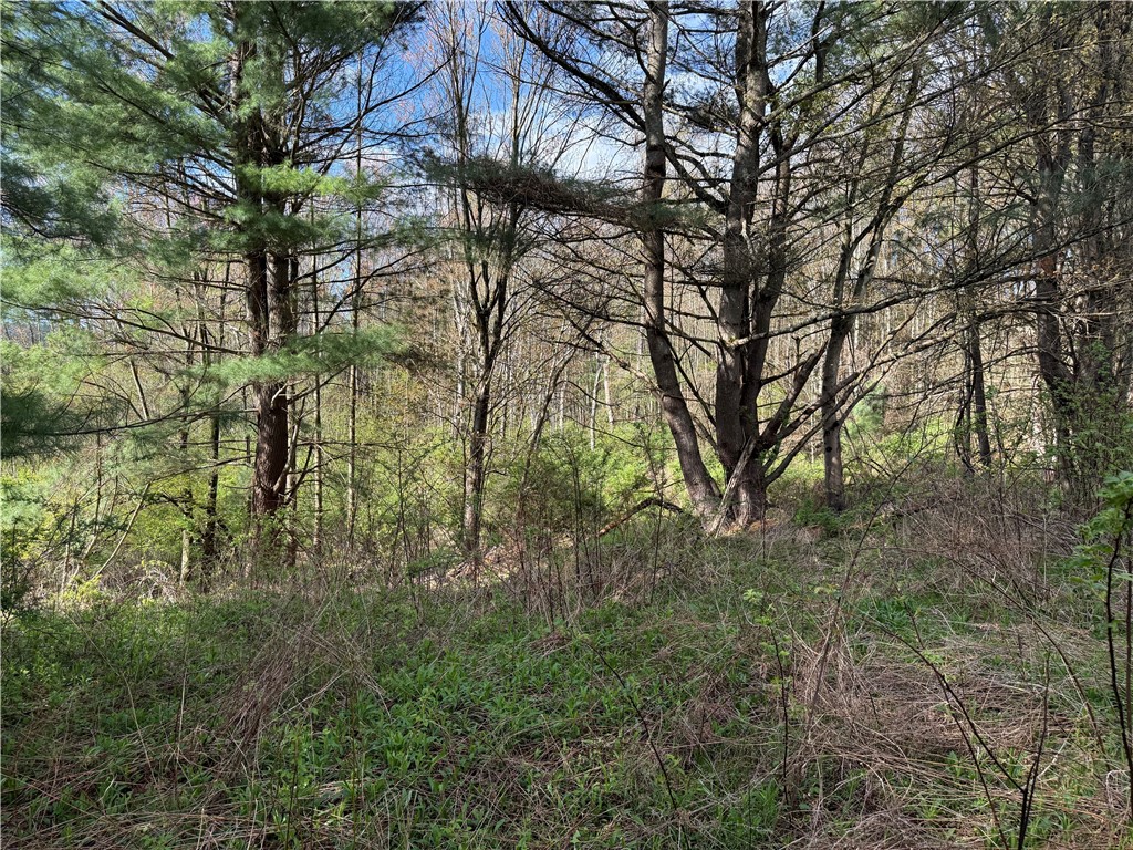 9155 Smith Road Lindley, NY 14870 - Photo 6 of 33