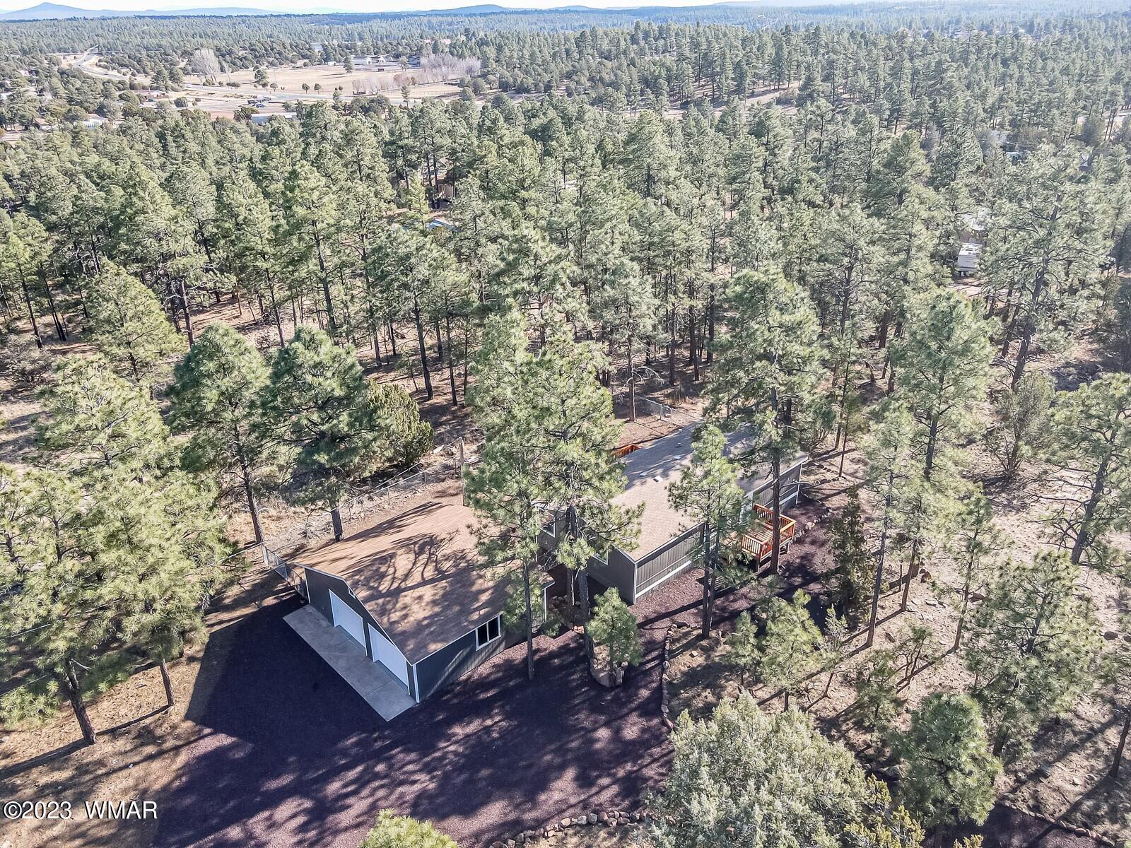 1033 Pine Ridge Drive Show Low, AZ 85901 - Photo 29 of 34