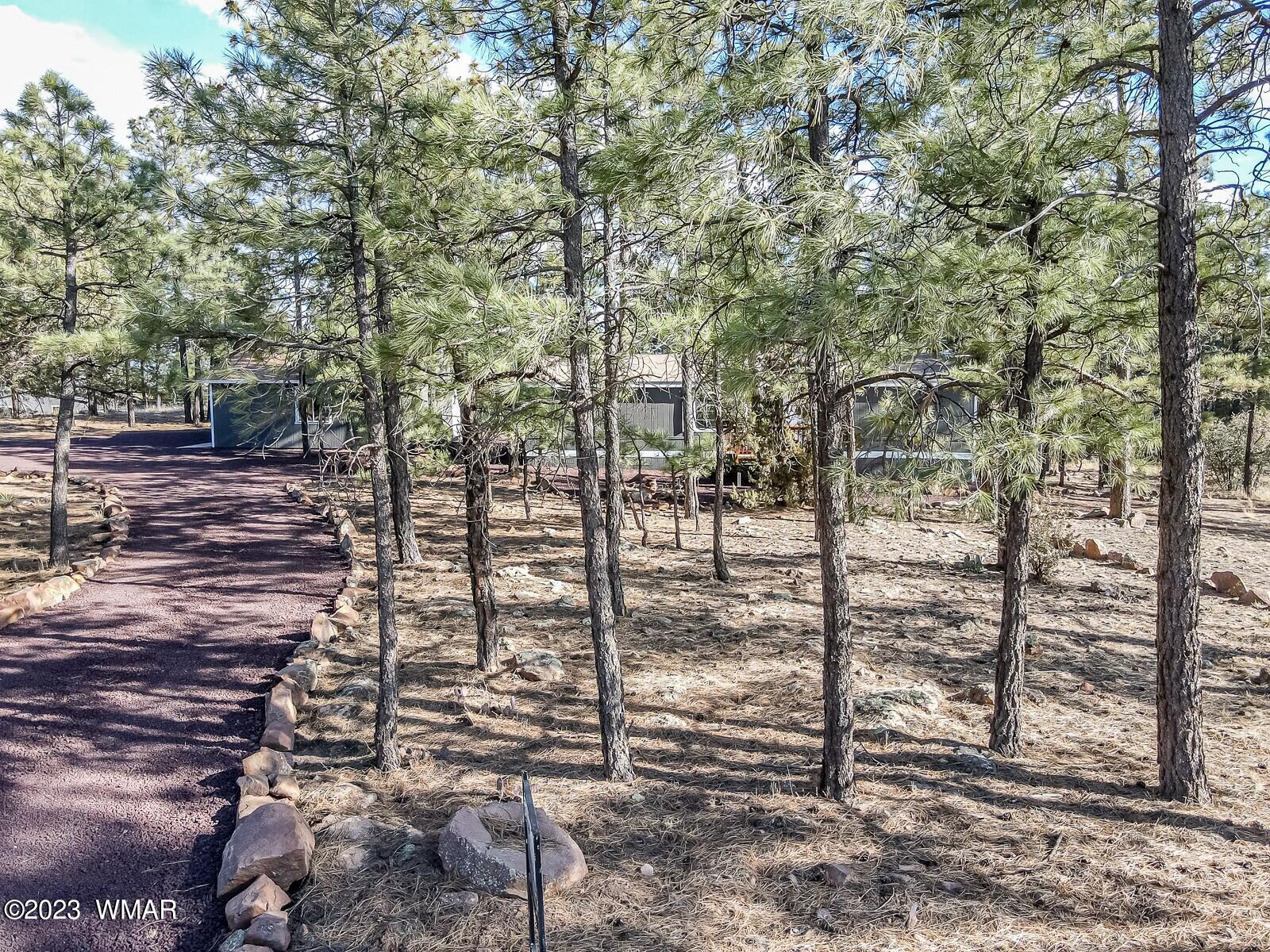 1033 Pine Ridge Drive Show Low, AZ 85901 - Photo 31 of 34