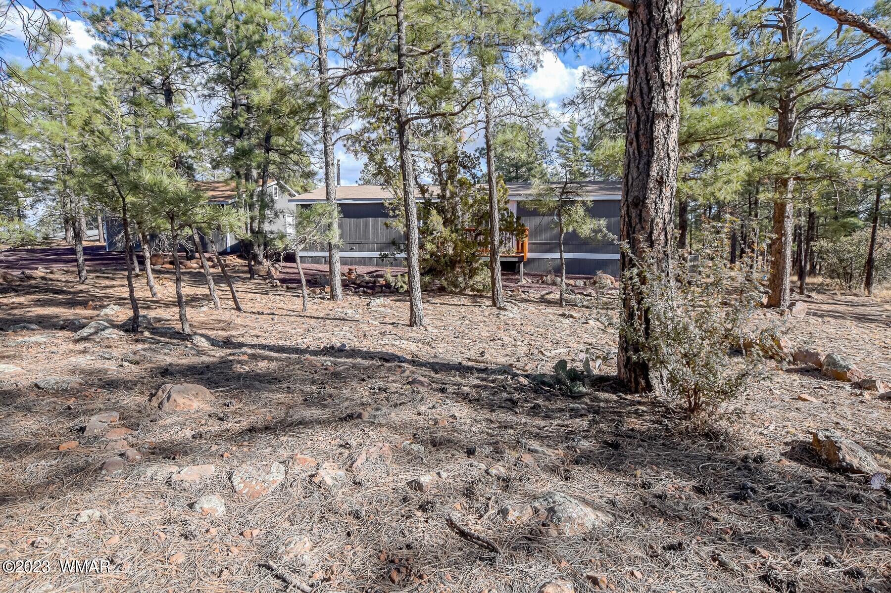 1033 Pine Ridge Drive Show Low, AZ 85901 - Photo 33 of 34