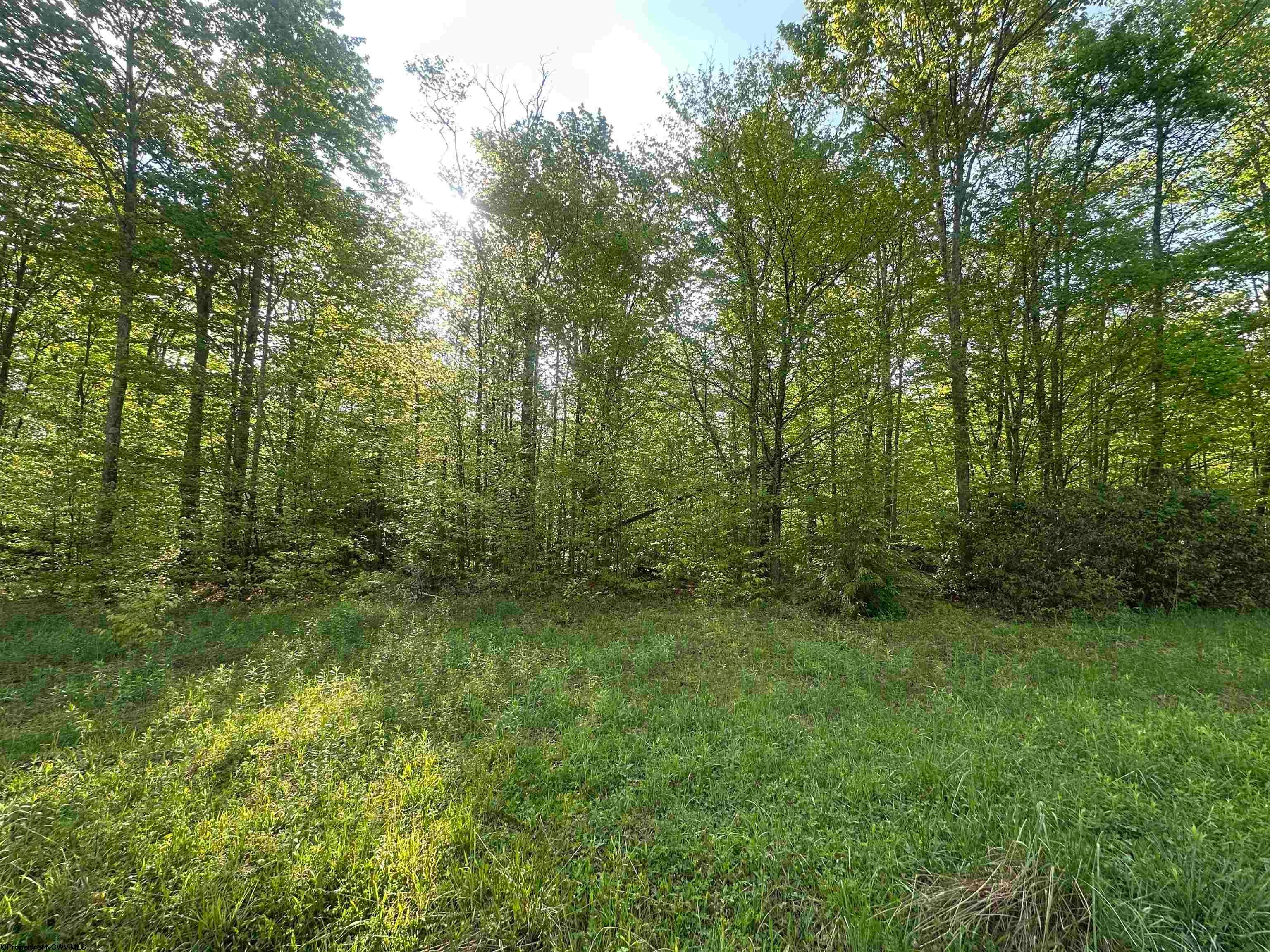 Lot 4 Tuscan Ridge Road Davis, WV 26260 - Photo 4 of 12 Gallery Image 4