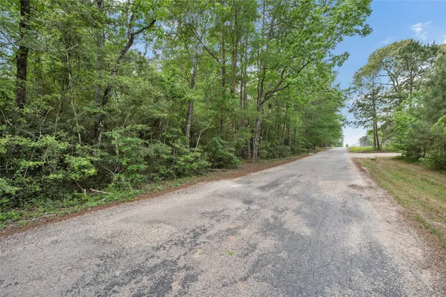 a view of a road with a yard