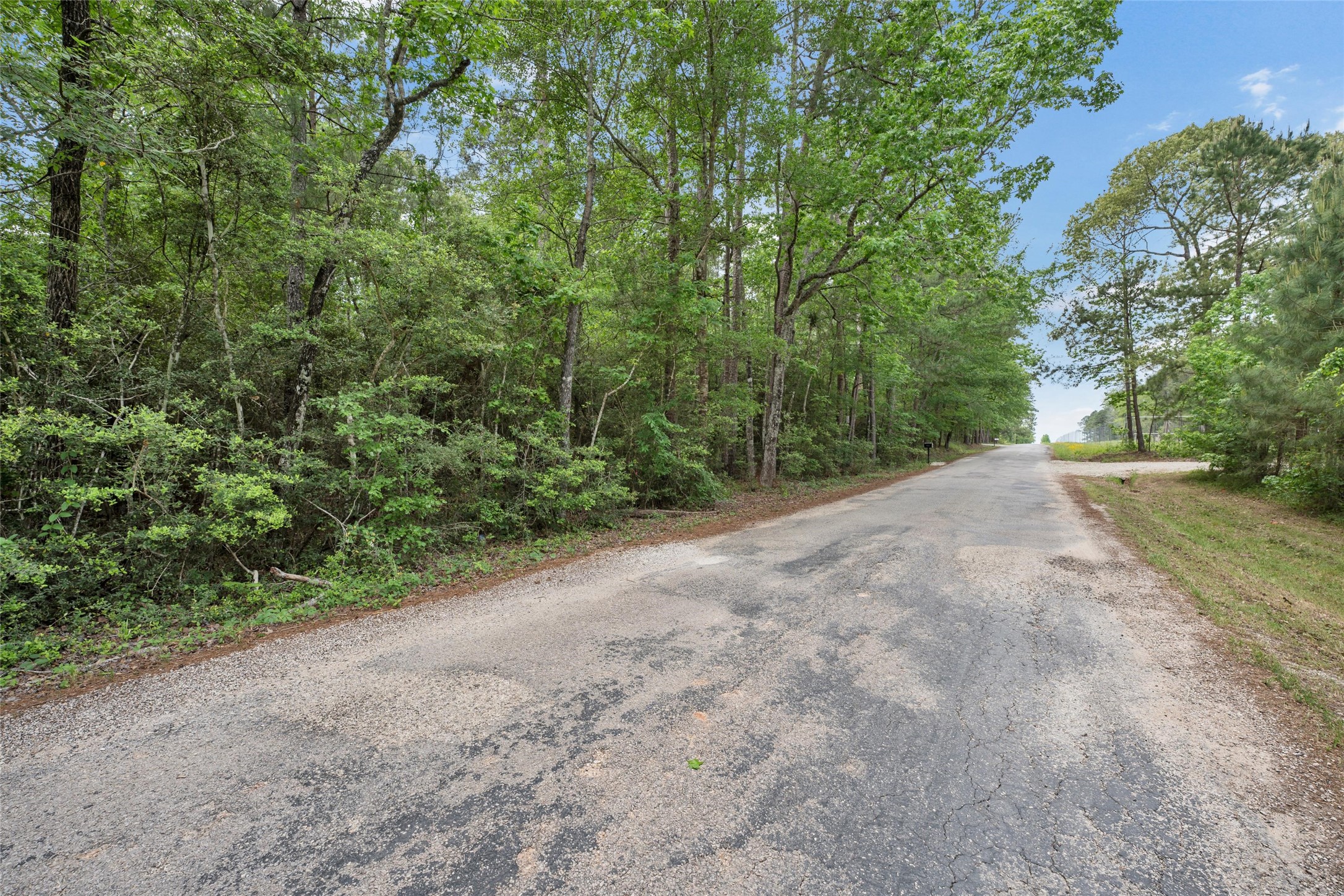 a view of a road with a yard
