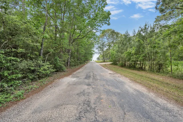 a view of a dirt road with trees in the background
