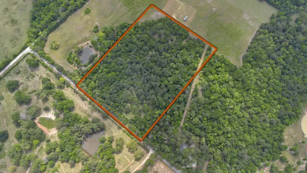 a view of a backyard of the house