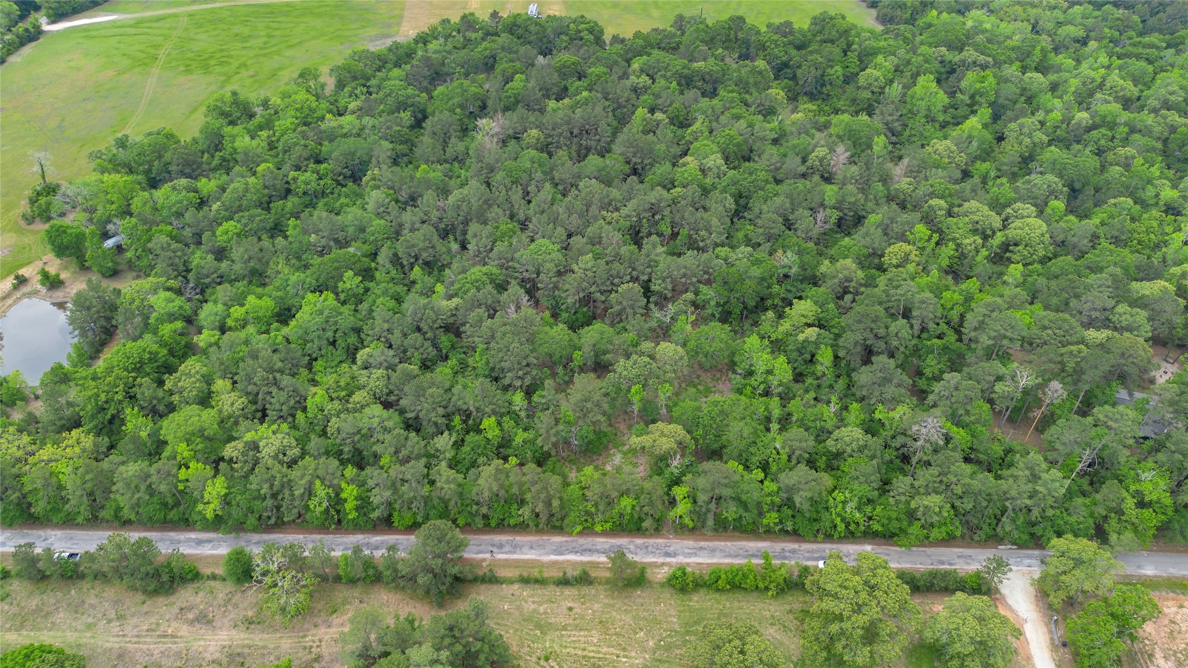 399 Pool Road Richards, TX 77873 - Photo 5 of 8 a view of a forest