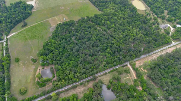 a view of a forest from a balcony