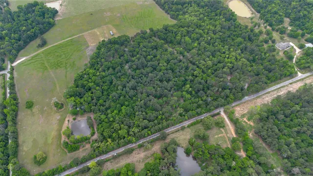 a view of a forest from a balcony