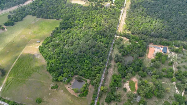 a view of a yard