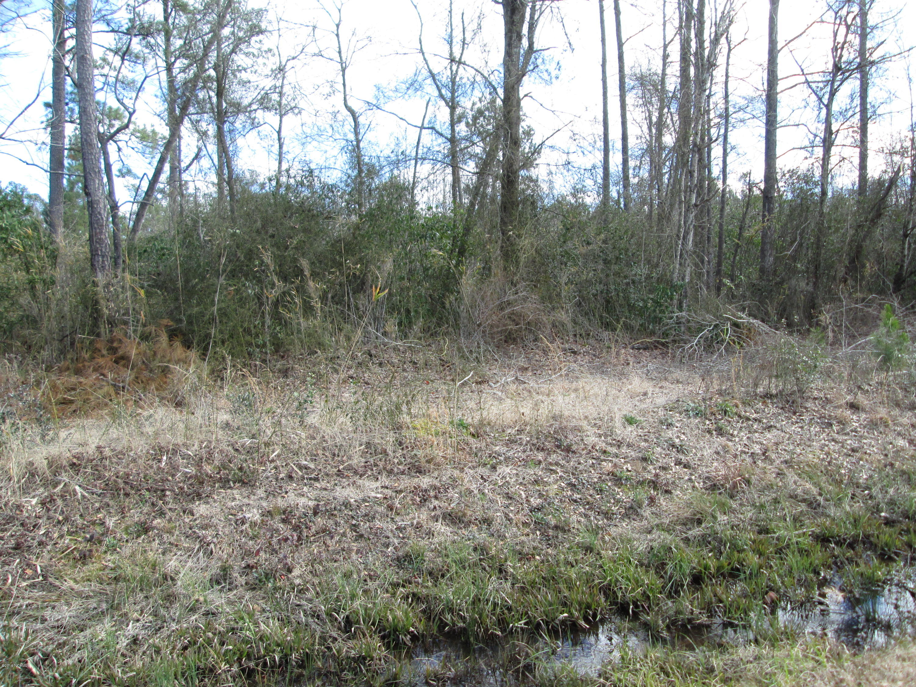 1283 Money Hole Road Riegelwood, NC 28456 - Photo 1 of 1 IMG_0135
