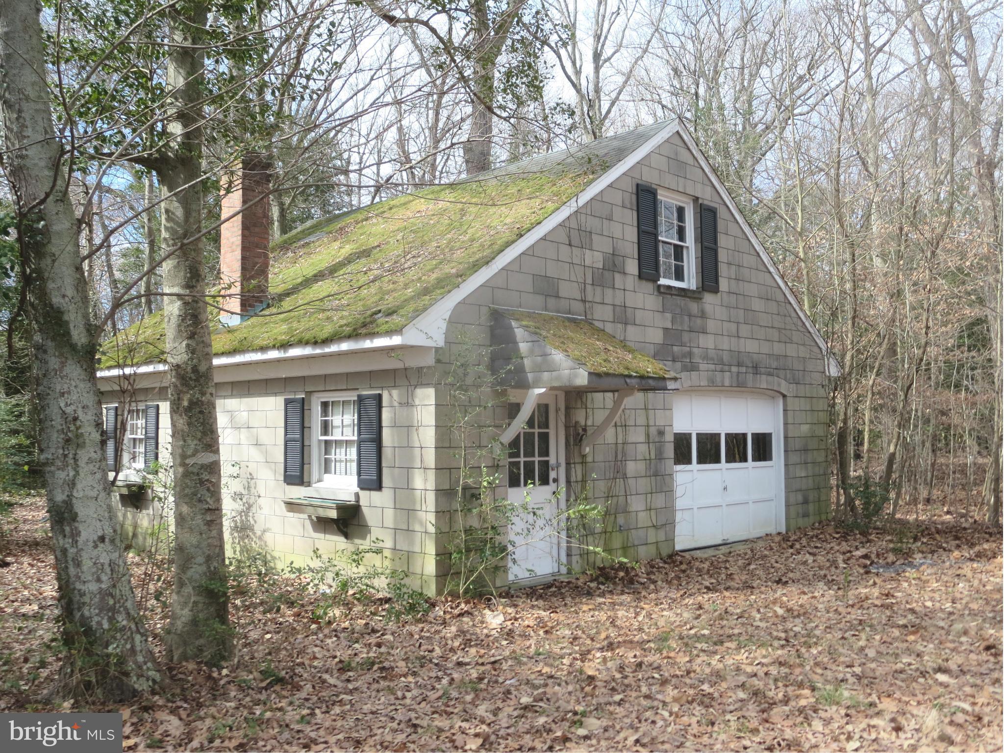 Exterior (Rear)