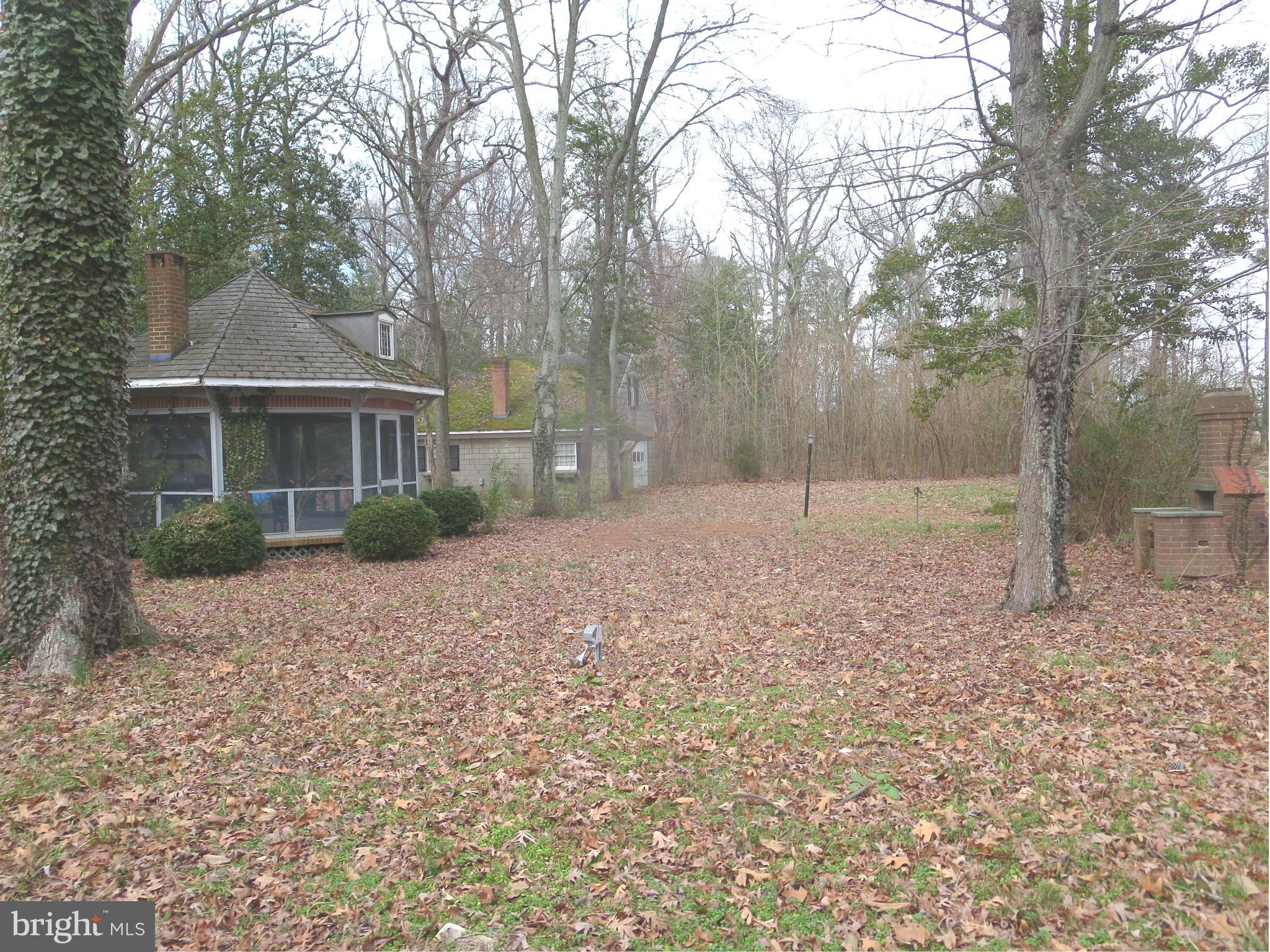 27730 Glebe Road Easton, MD 21601 - Photo 10 of 21 Exterior (Rear)