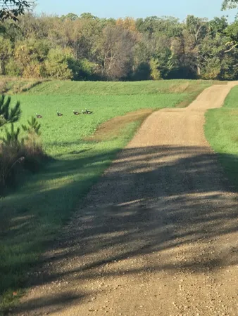 $1,449,000 | 12157 County Highway, Parkers Prairie, MN 56361