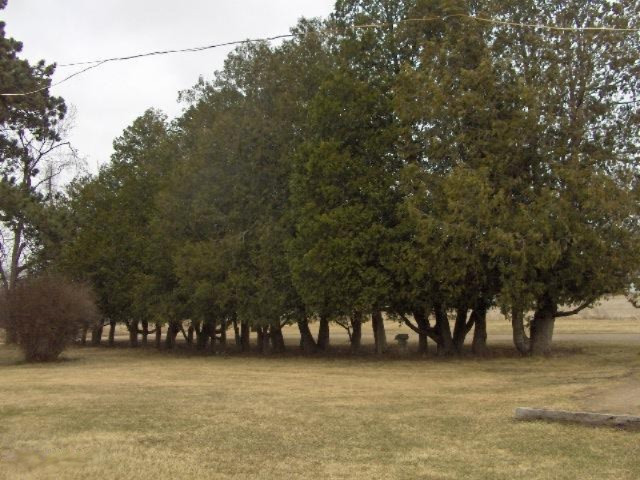 1350 Staley Road Lyons, MI 48851 - Photo 16 of 17 HPIM0770.JPG