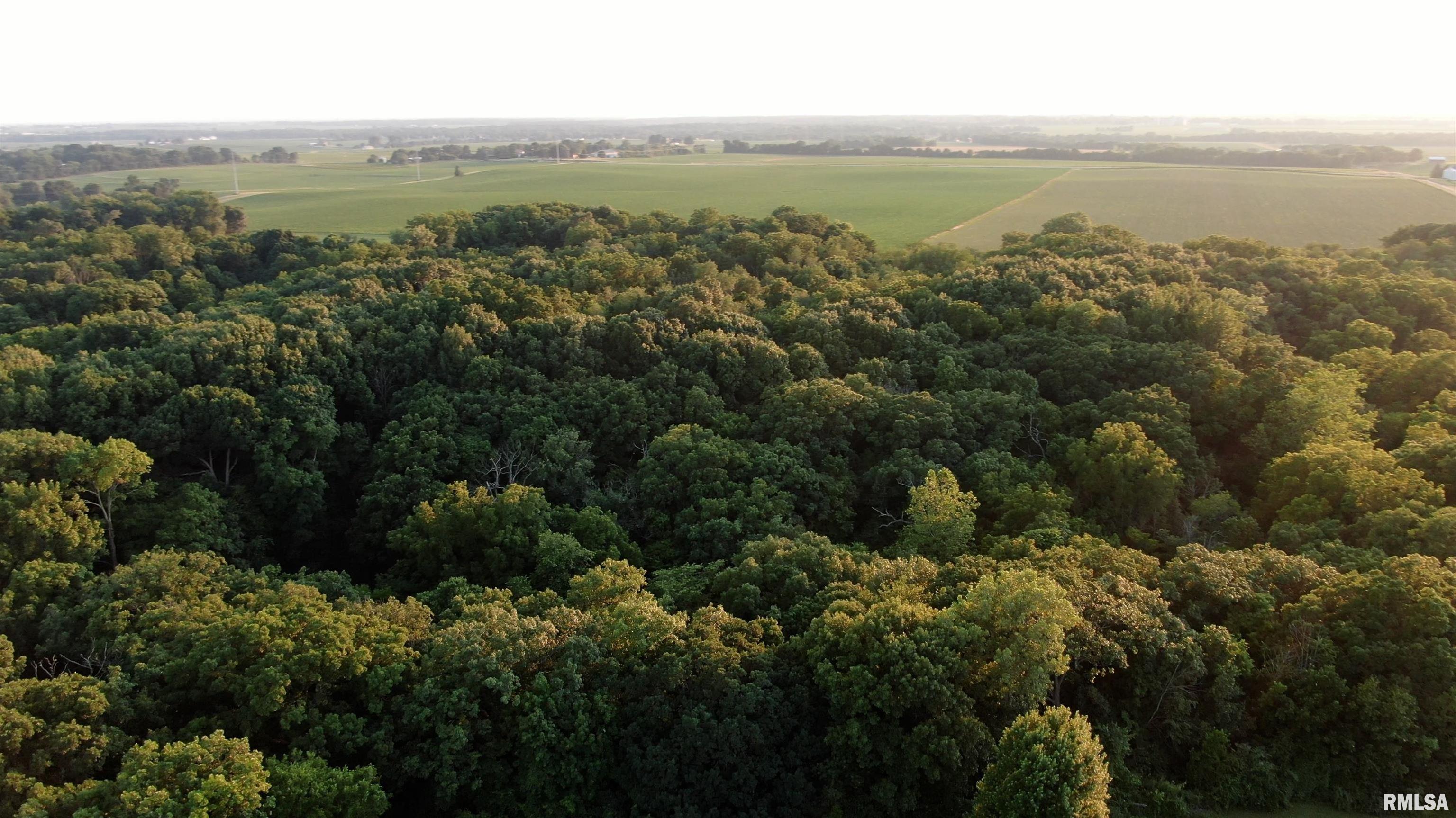 1702 West Singing Woods Road Edelstein, IL 61526 - Photo 6 of 61 Gallery Image 6
