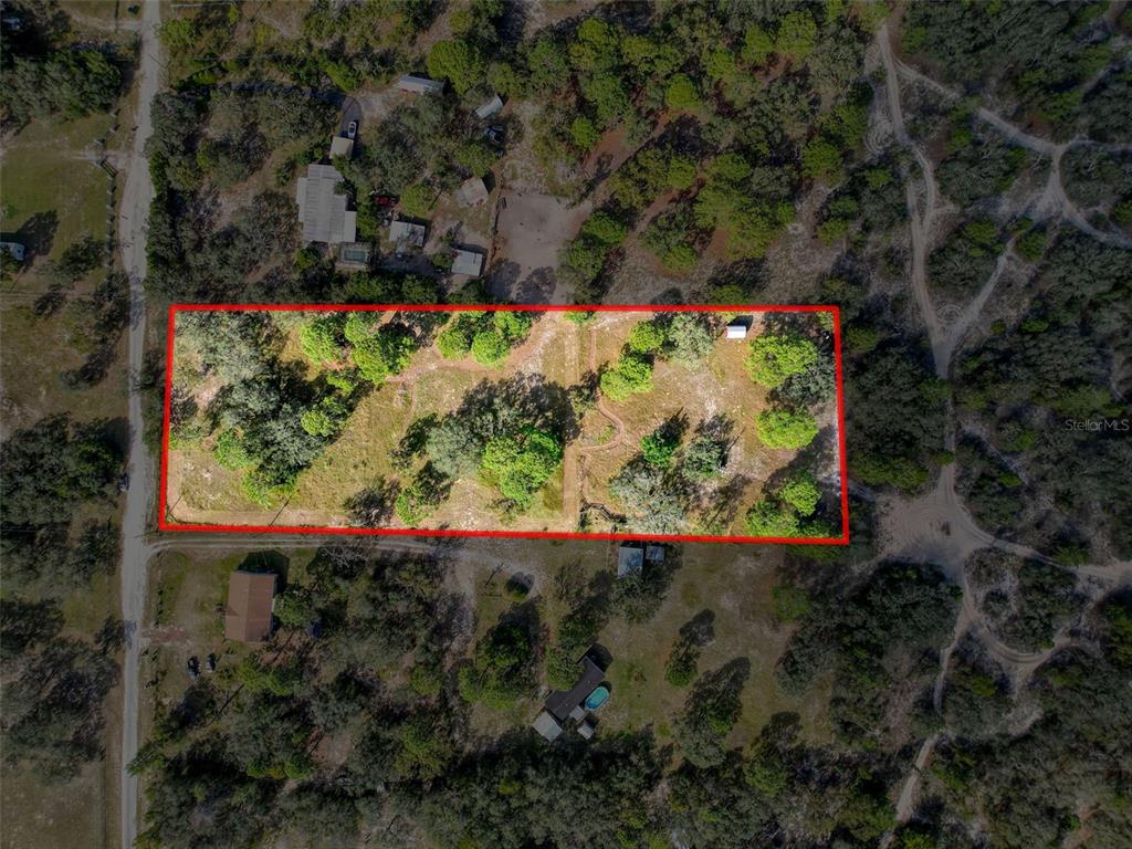 0 Smith Boulevard Hudson, FL 34667 - Photo 7 of 8 a view of a garden with a tree