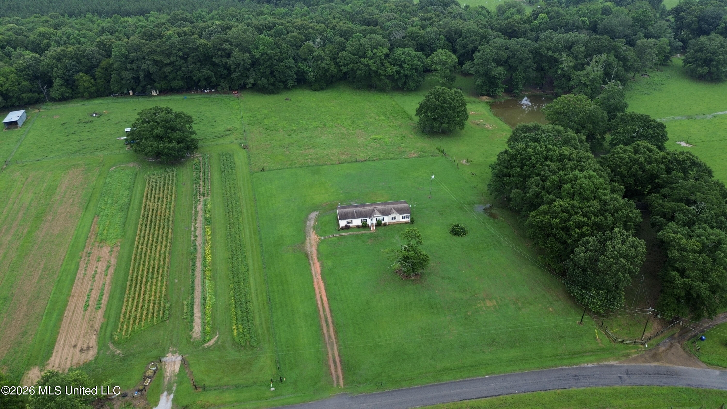 749 J Burnham Road Pelahatchie, MS 39145 - Photo 3 of 21 25-dji_fly_20260619_151830_448_178185354