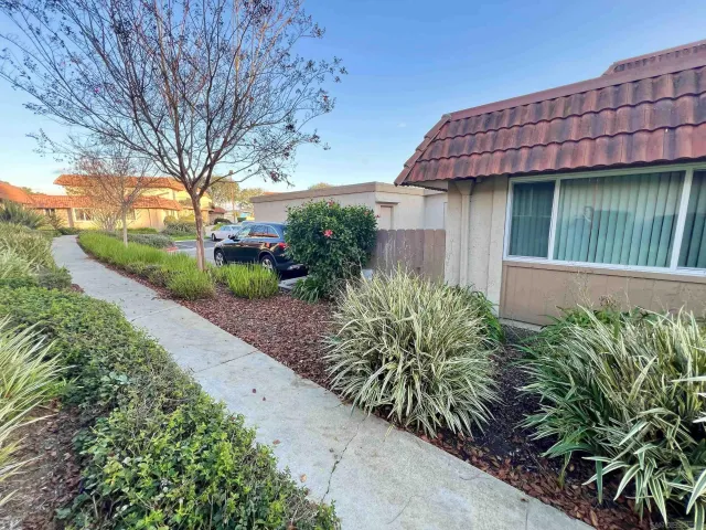 a backyard of a house with plants and tree with a garden