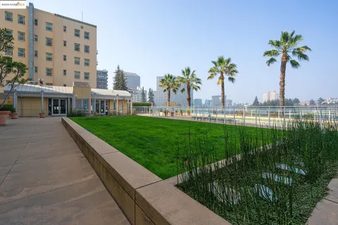 a view of a swimming pool and a garden