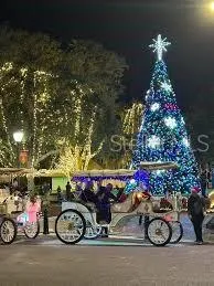 $1,995,000 | 576 Casey Loop Mount, Mount Dora, FL 32757