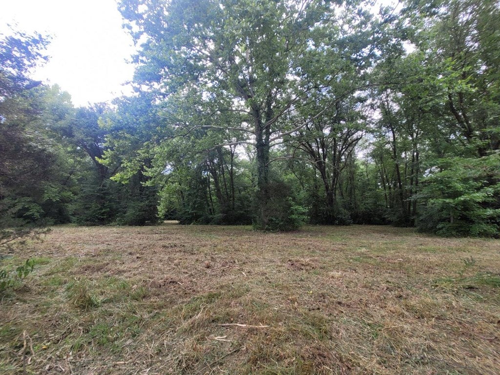 Bethel Road Phenix, VA 23959 - Photo 11 of 15 Gallery Image 11