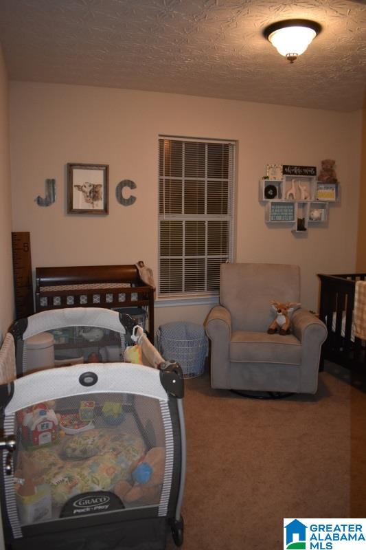 1175 County Road 459 Heflin, AL 36264 - Photo 12 of 21