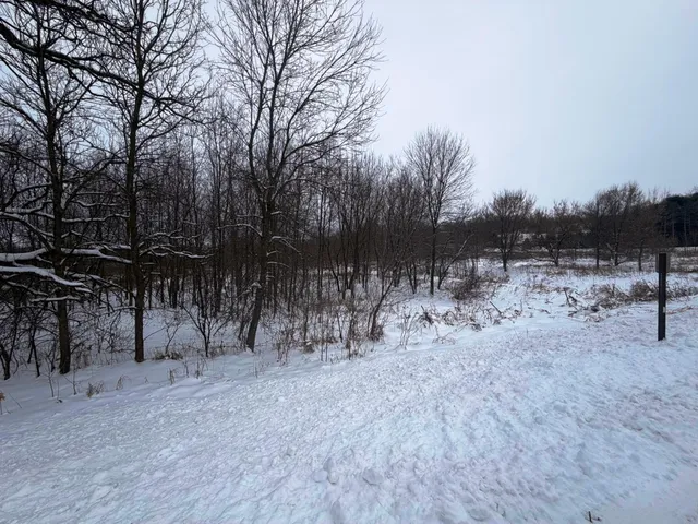 $320,000 | Tbd Tbd Lands Along 160th Avenue, Glenwood City, WI 54013