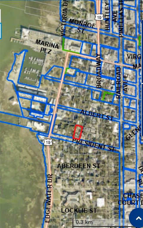 240 President Street Dunedin, FL 34698 - Photo 4 of 19