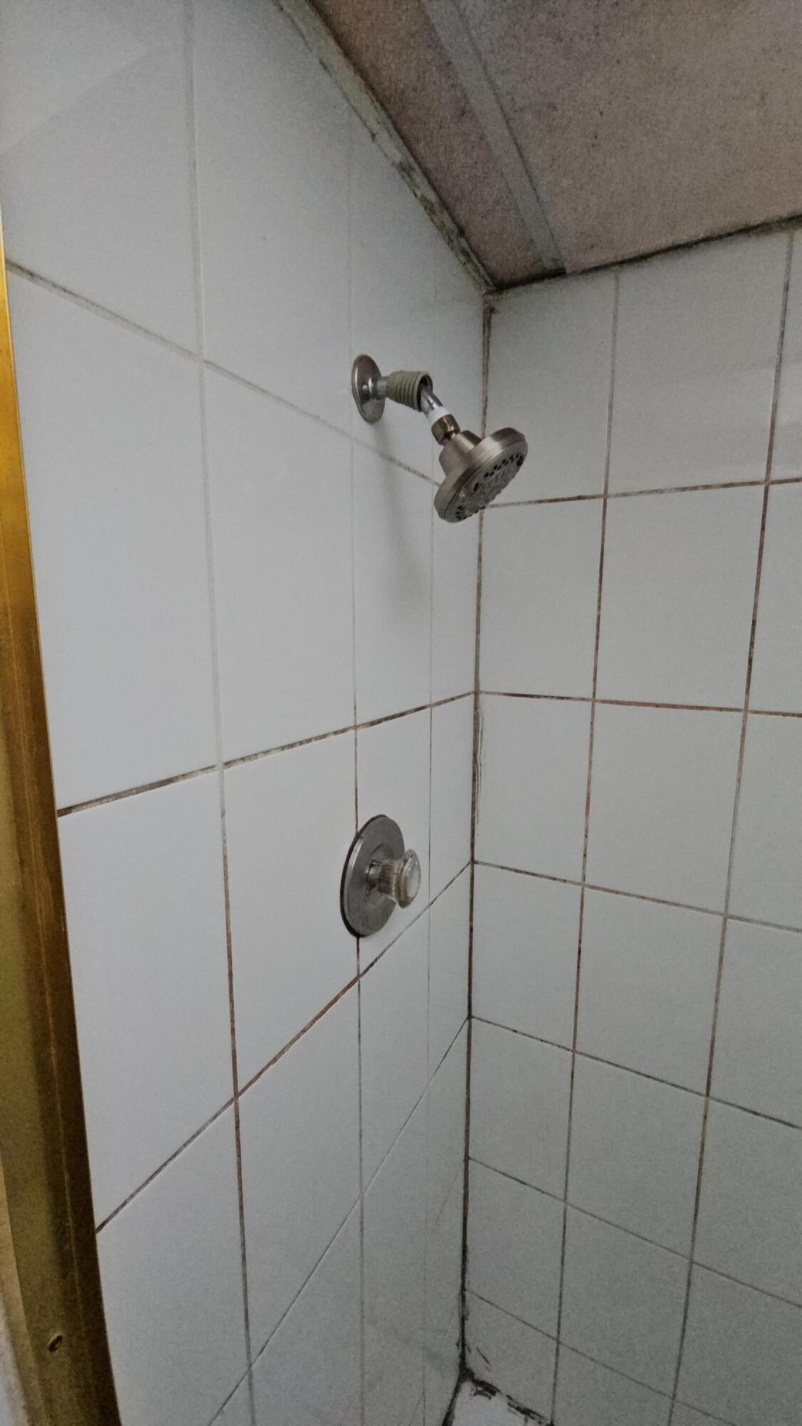 616 Northwest 13th Street, Unit 17 Boca Raton, FL 33486 - Photo 13 of 17 SHOWER