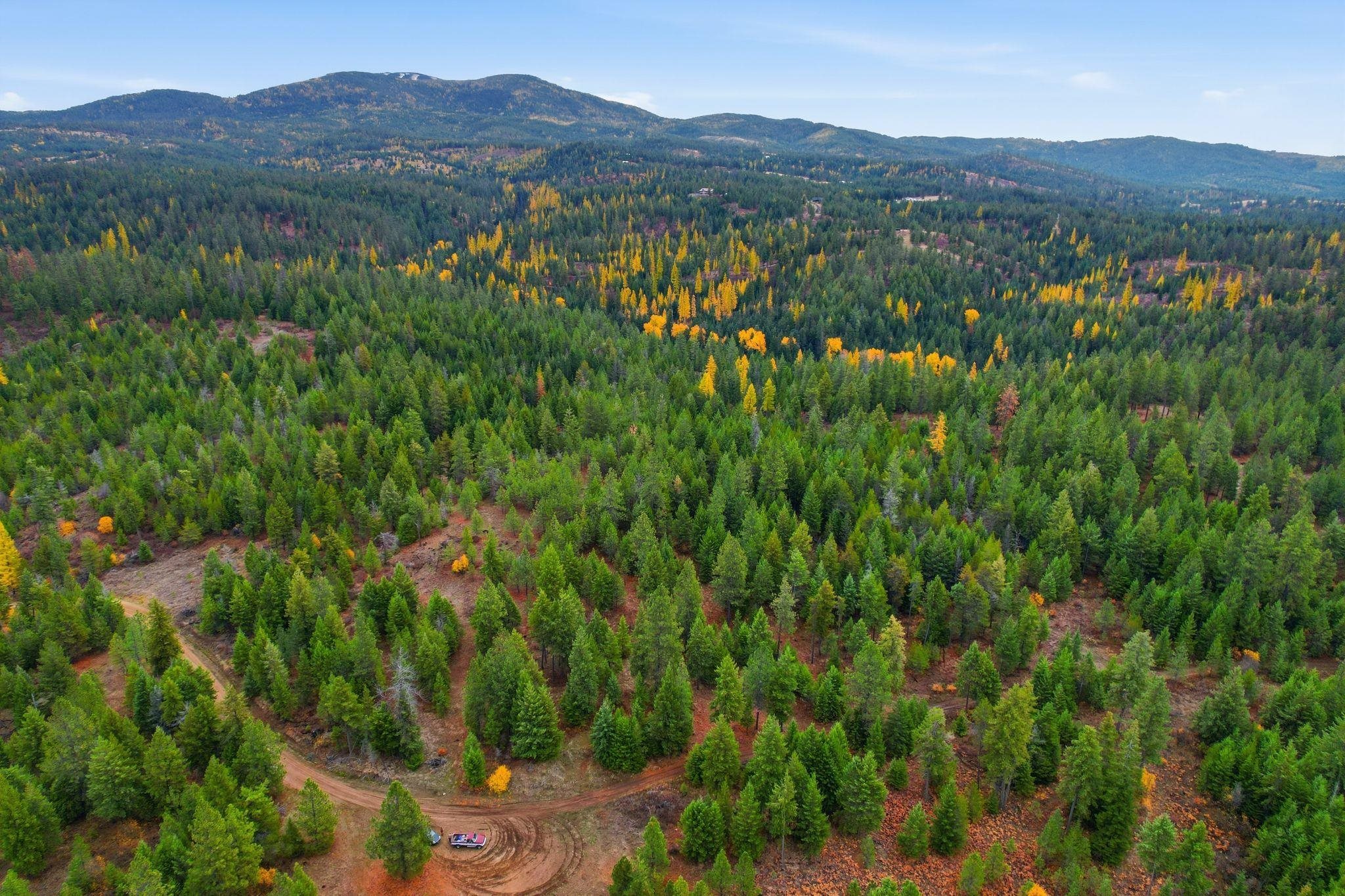 48094.9045 Unknown Road Chattaroy, WA 99003 - Photo 11 of 11