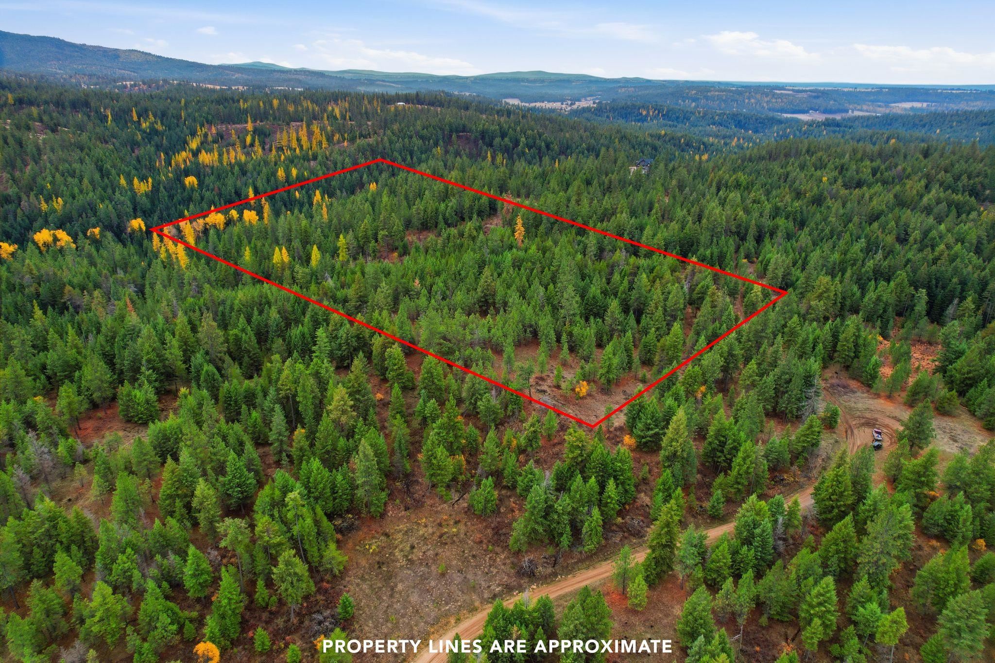 48094.9045 Unknown Road Chattaroy, WA 99003 - Photo 2 of 11