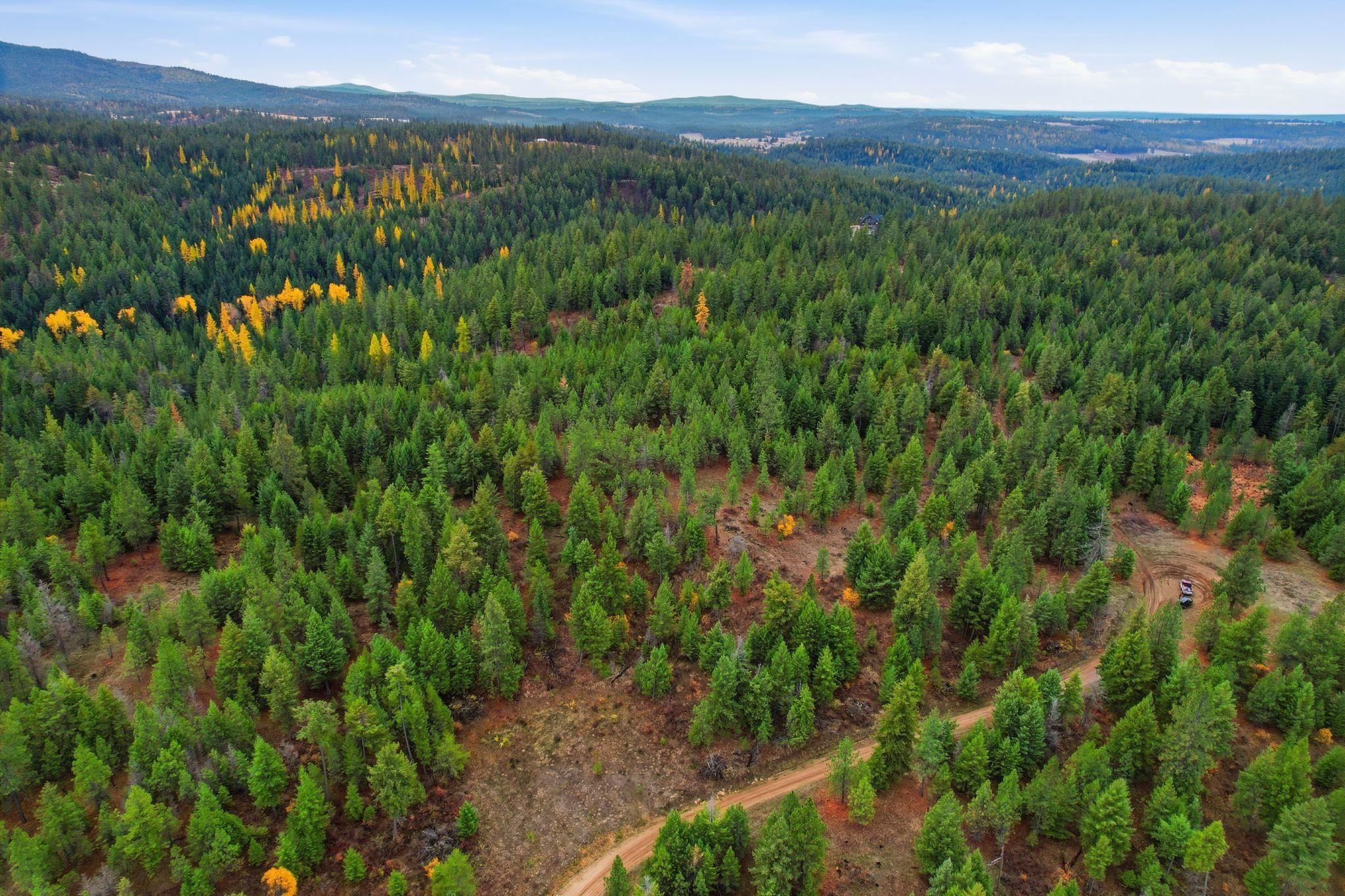 48094.9045 Unknown Road Chattaroy, WA 99003 - Photo 6 of 11