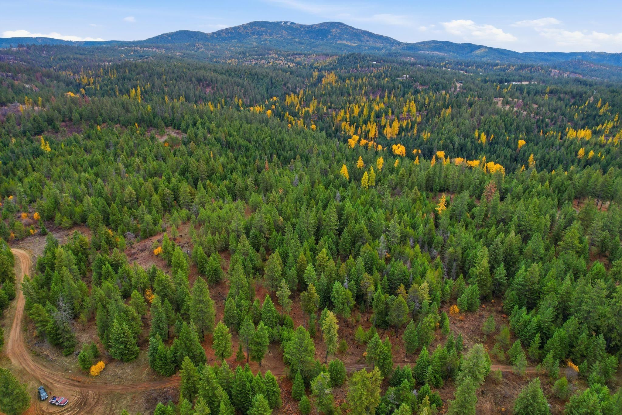 48094.9045 Unknown Road Chattaroy, WA 99003 - Photo 7 of 11