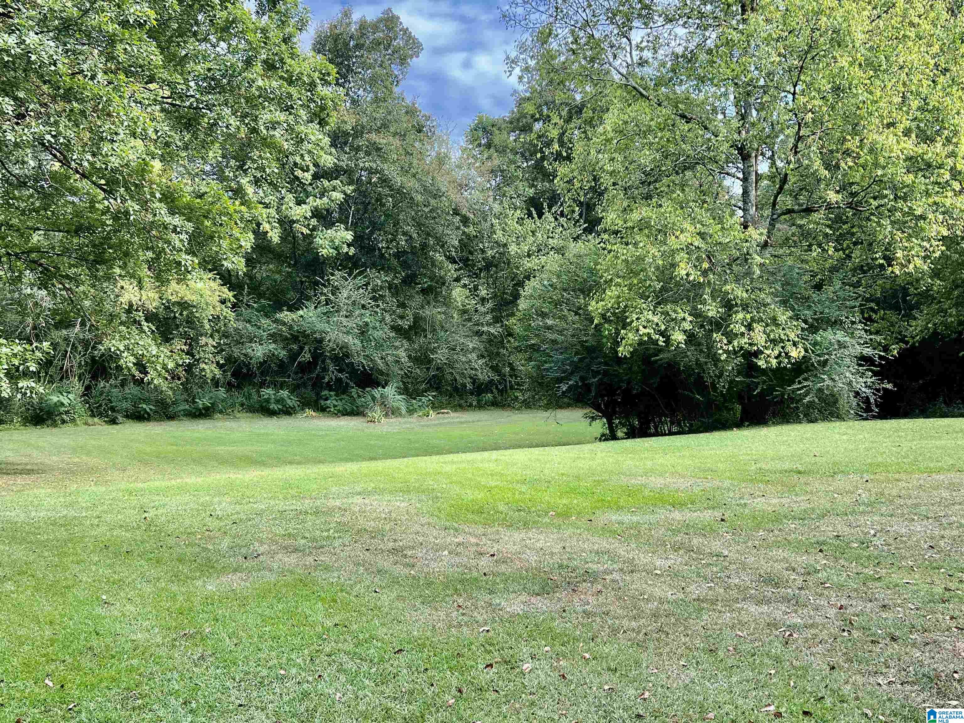 1565 Brackett Loop Road Mount Olive, AL 35117 - Photo 9 of 28 Gallery Image 9