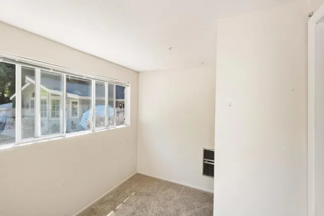 a view of a tree with a yard