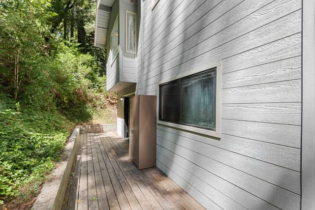 a view of a yard with plants and large trees