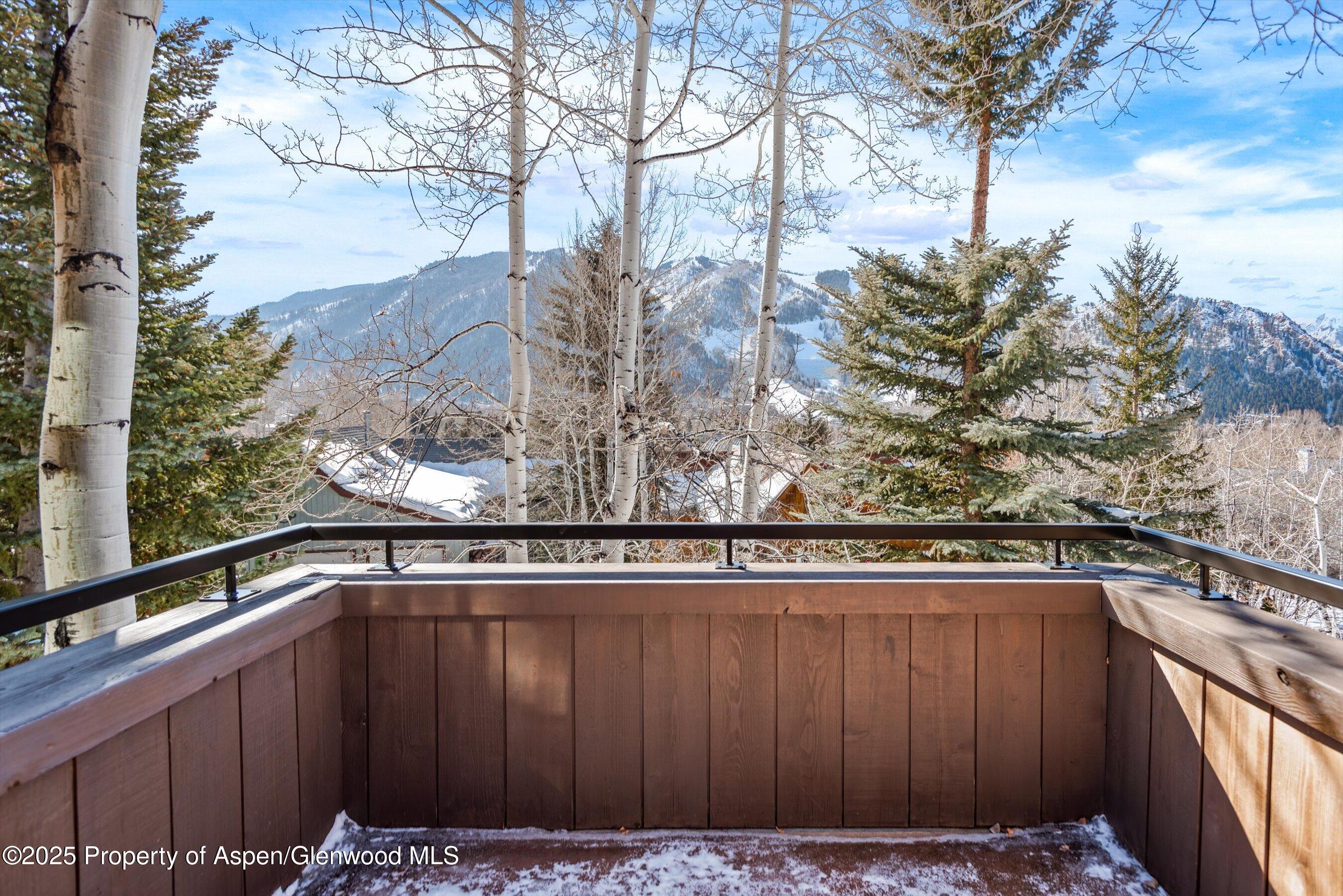 415 Silverlode Drive Aspen, CO 81611 - Photo 13 of 26 a view of a outdoor space