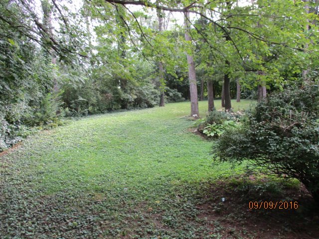 4965 Brigadoon Road Rockford, IL 61107 - Photo 4 of 13 a view of a lush green forest