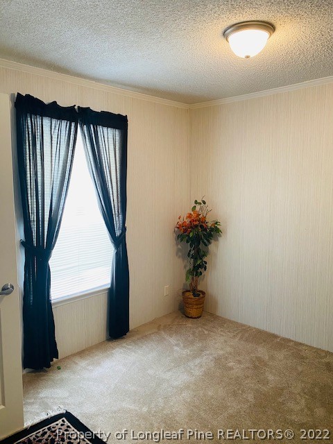 1246 Affinity Road Fairmont, NC 28340 - Photo 15 of 19 Gallery Image 15