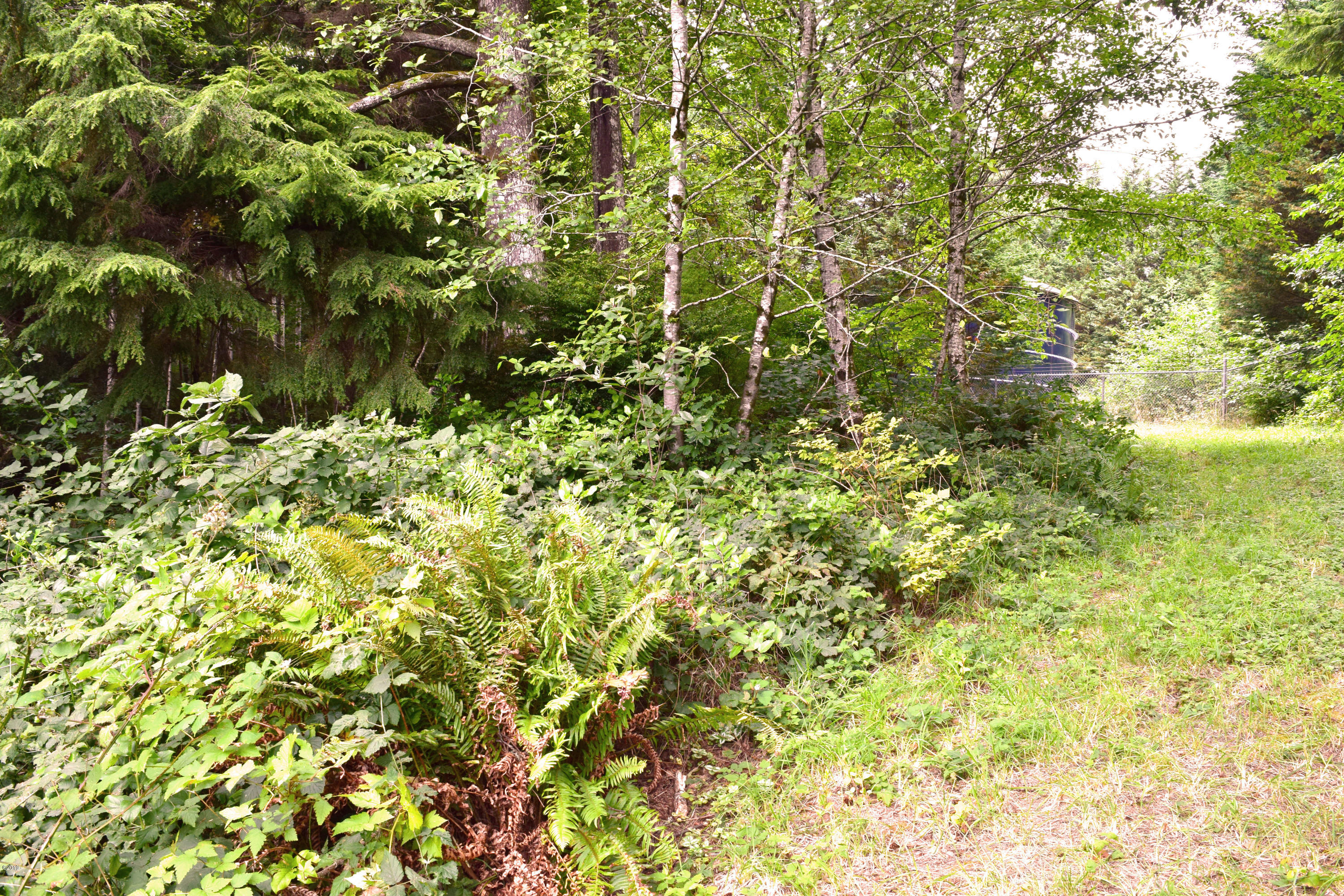 3174 Northeast East Line Road Yachats, OR 97498 - Photo 4 of 12 East Line