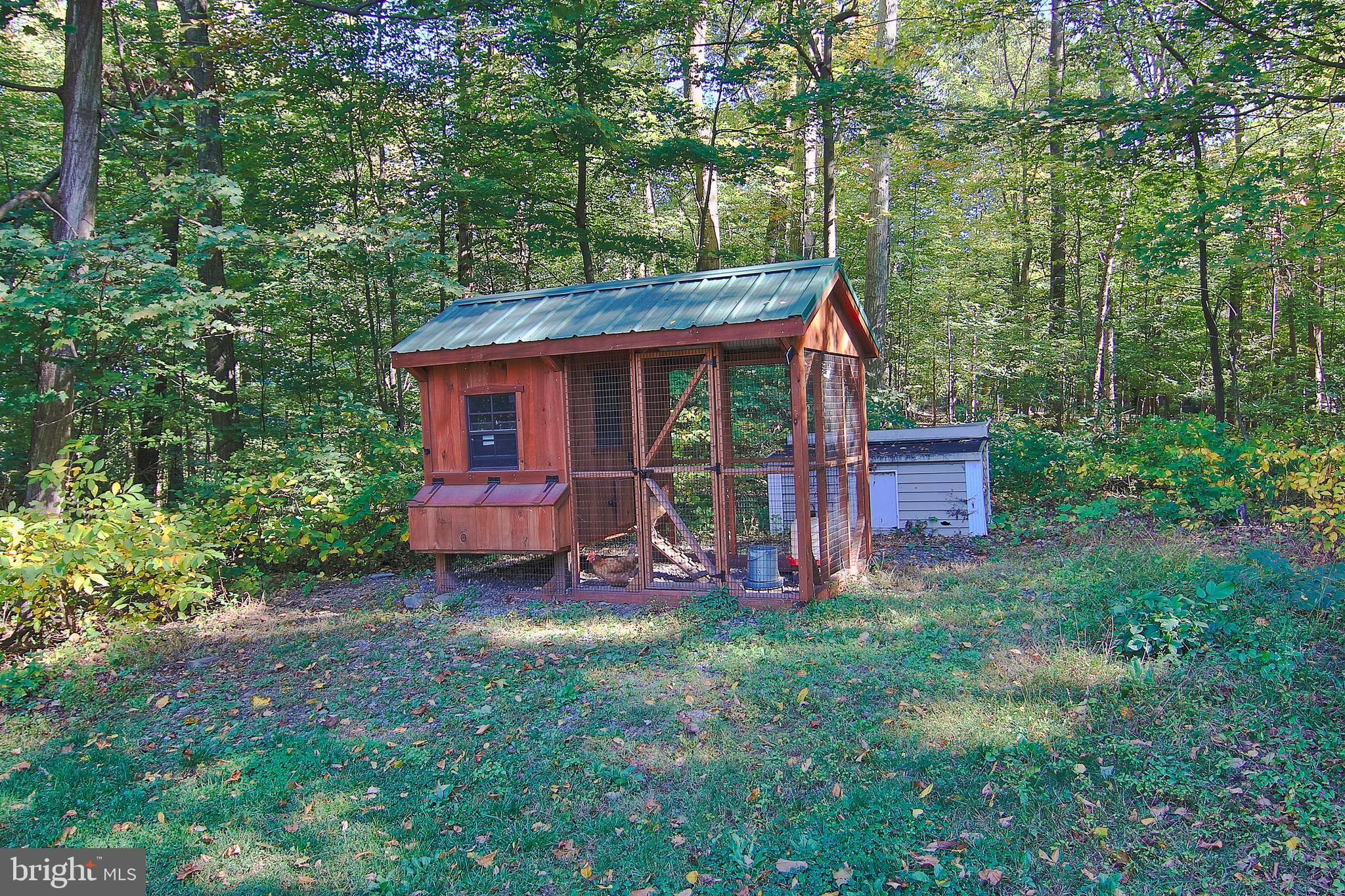 13 Shade Road Oley, PA 19547 - Photo 42 of 48 Chicken Coop