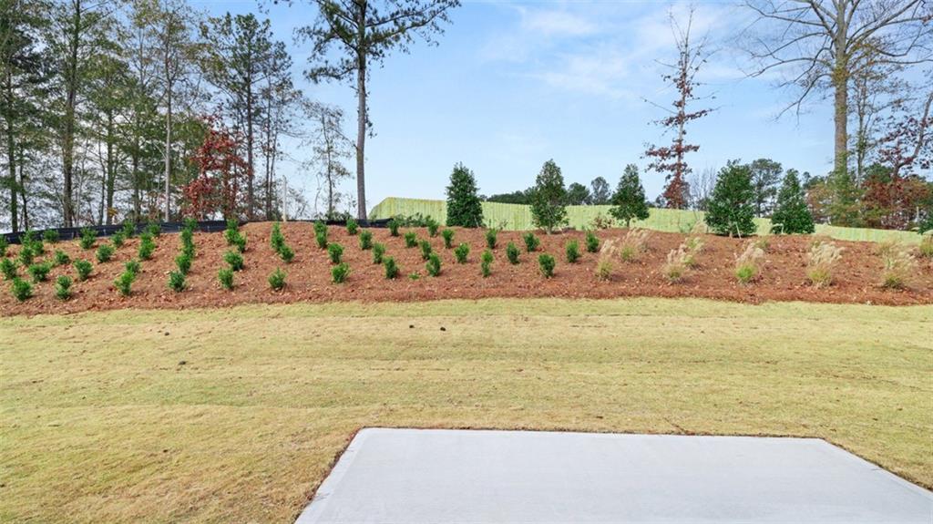 89 Holland Cove Winder, GA 30680 - Photo 23 of 40