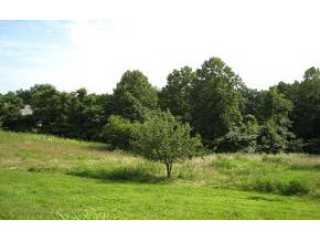 3363 North Thomas Road Bloomington, IN 47404 - Photo 1 of 6