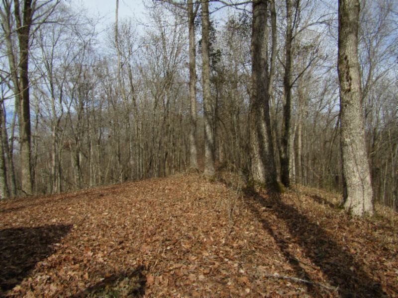 10 Millie Ridge Road Celina, TN 38551 - Photo 14 of 19 Gallery Image 14
