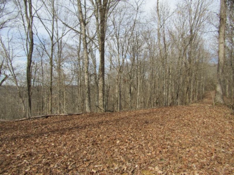 Gallery Image 7