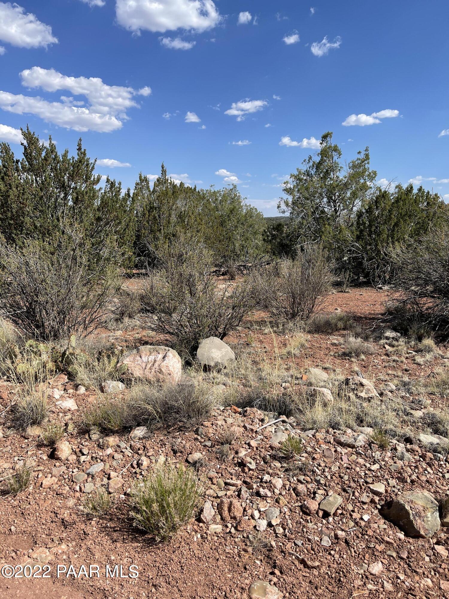 33765 Gallina Road Seligman, AZ 86337 - Photo 1 of 5 Street View