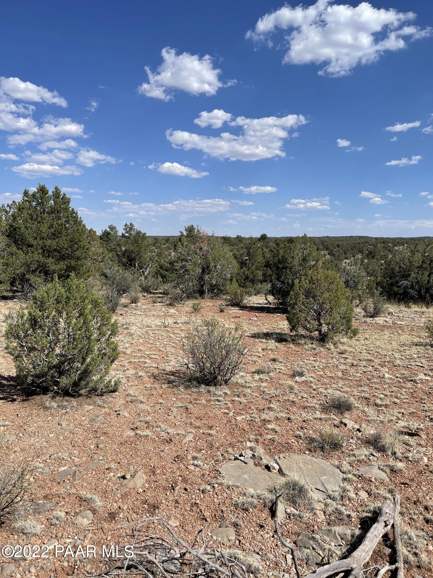 33765 Gallina Road Seligman, AZ 86337 - Photo 3 of 5 Nice quiet area